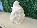 Daydreaming Gnome