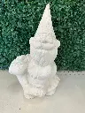 Gnome Riding Turtle