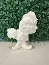 Lucky Leprechaun Man