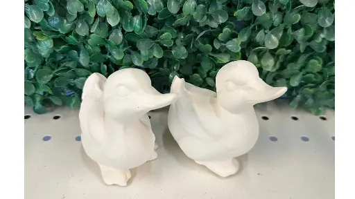 Just Ducked 