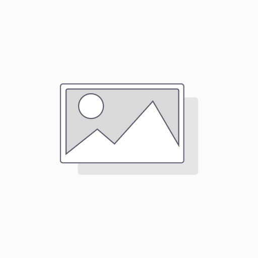Payment Plan For Amber