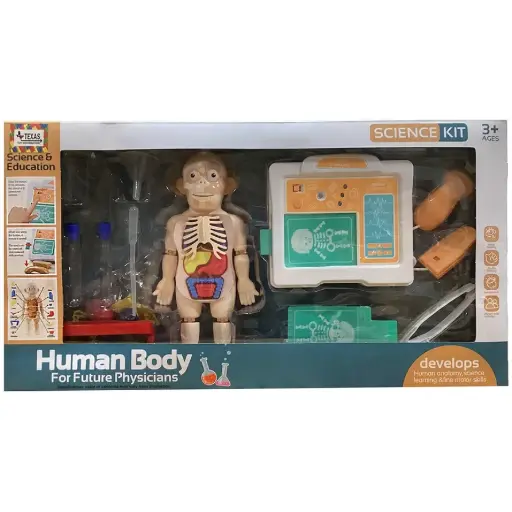 Human Body Science Kit, Anatomy Stem Kit For Kid Doctors