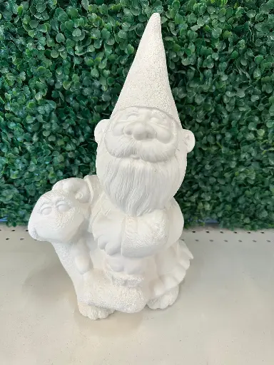 Gnome Riding Turtle